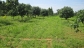 10 acres agricultural land for sale at duddipalem near sabbawaram.