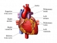 HEART CARE JUICE ( SPECIAL OFFER  BUY 2 GET 1 FREE)
