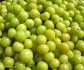 AMLA  JUICE ( SPECIAL OFFER  FOR BUY 2 GET 1 FREE )
