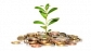 Join AdMore Profit