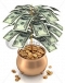 Join AdMore Profit