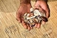 No.1 SPELL CASTER Call Dr moshe+27781595267