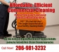 Commercial Cleaning & Maintenance Services for Your Business