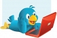 Ads Reward Daily is Fastest Growing Company on Internet