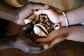 BLACK MAGIC SPELL+27781595267
