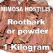 Buy Premium Mimosa Hostilis (Tenuiflora / Jurema) Root bark. 