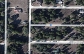 TERRENO EN OCALA DE 4300 M2