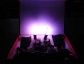 Wholesale auto HID lamp, LED auto lamps. High quality with BEST PRICE.also look for distributor