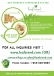 Disposable Palm Leaf Plates and Party Plates