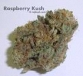 100%quality medical kush OG kush