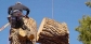 Tree Removal and Maintenance Services Madisonville