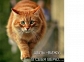 we help you advertise 