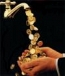 Be one of thousands of entrepreneurs in partnering with ArgentGlobalNetwork.