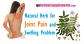 Natural Herb for Joint Pain and Swelling Problem