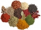 Spice(s) | Indian Grocery Store
