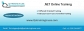 Dot Net Online Training and Job Assistance in USA