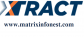 Online Marketing Manager