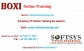 Business objects online training, boxi training online.