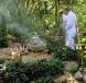 Psychic mum latibu +27727598382