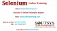 ​Selenium online training, online Selenium training.