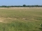 Sale of residential plots