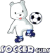 Kids Soccer Austin