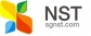 NST do Singapore marketing website design and construction in three areas 