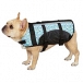 Keep Your Puppy Safe in Water with Dog Life Jackets