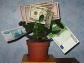 Be one of thousands of entrepreneurs in partnering with ArgentGlobalNetwork. Advertising your busine