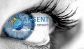 Got Business? Join the fast growing online advertising company.