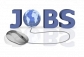 Work from home without disturbing your present occupation.  (Mumbai, All Localities)