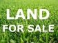 DIVINE EUPHORIA is all for you with best farmlands in Kanakapura Road, Bangalore