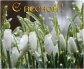 Join the fast growing online advertising company.