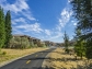 Gorgeous Roseville, 1 bedroom, 1 bath