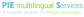 Foreign Language Transcription Companies, Online Transcription service