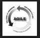 Looking For Agile Application Development Services