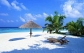 Bus Tour Packages of Vacation Apr-May-June 2015