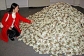 Build your business, increase your fortune. 