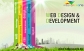 Best Website design and Development Services