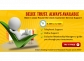 Best Stock Market Tips Provider India