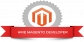 Hire Dedicated Magento Experts & Programmers