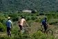Jim Corbett Jeep Safari Packages
