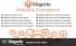 Customized Magento Extension Development Services