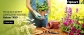 Flipkart Set up your garden! Lawn & garden essentials Below Rs-499/- Goosedeals.com