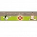 Alternative Medicine