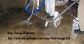 Stay Immune from Water Damage with Expert Help