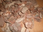 BARK PINE