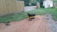 SOD/ST.Augustine/Palmeto/Bermuda...