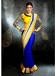Party wear Sarees Online
