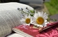 How To Write A Book